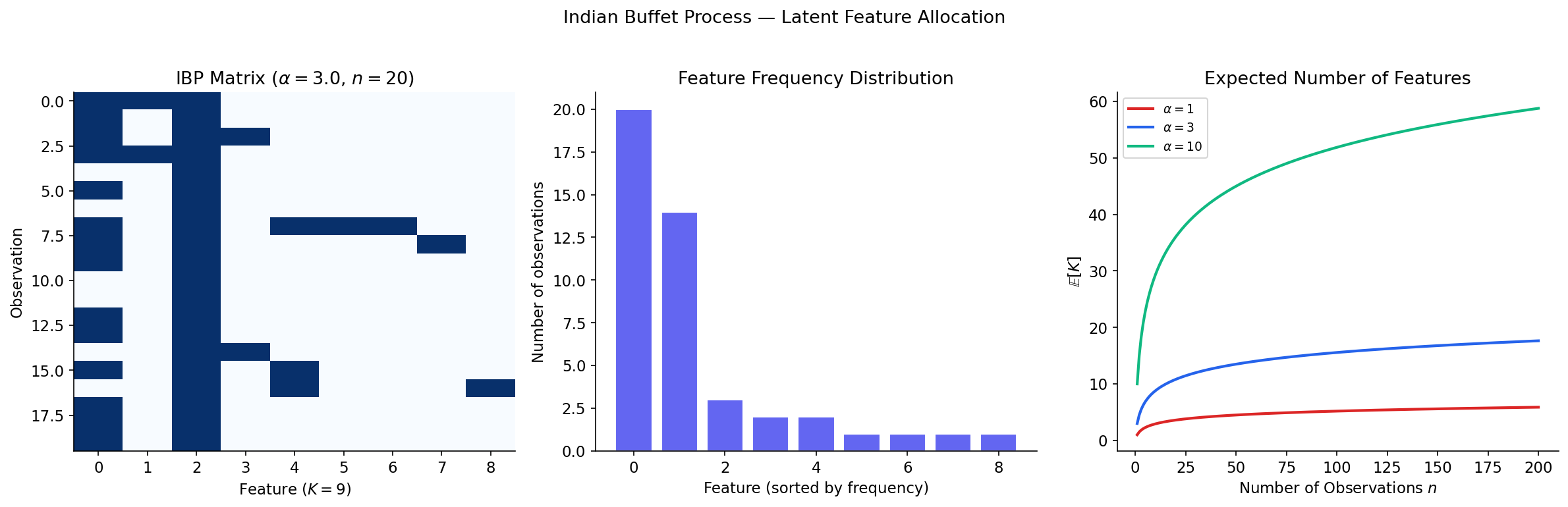 IBP feature allocation