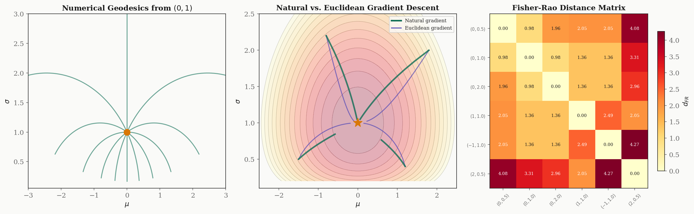 Computational information geometry: numerical geodesics, natural vs Euclidean gradient, Fisher-Rao distance matrix
