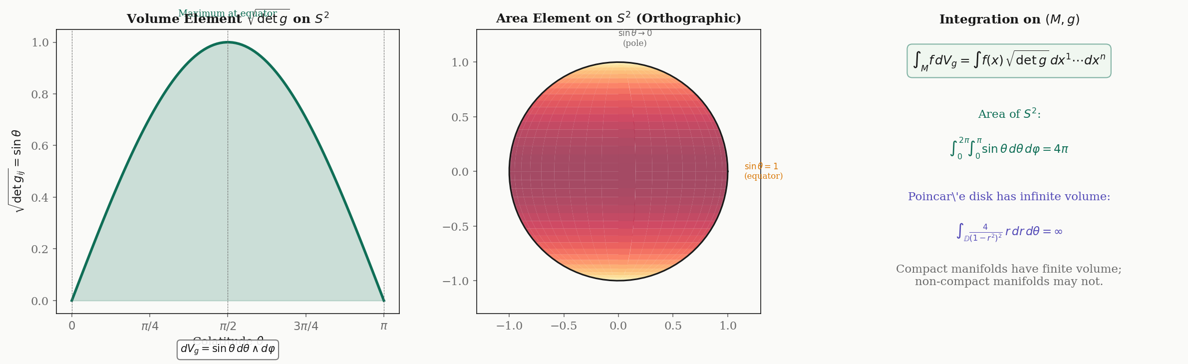 Volume forms — the factor √(det g) on the sphere (large near the equator, small near the poles), the area element as a heatmap, and the integral that gives Area(S²) = 4π